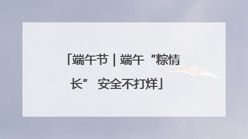 端午节｜端午“粽情长” 安全不打烊