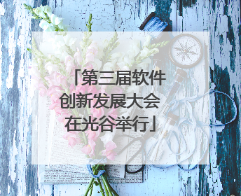 第三届软件创新发展大会在光谷举行