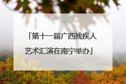 第十一届广西残疾人艺术汇演在南宁举办