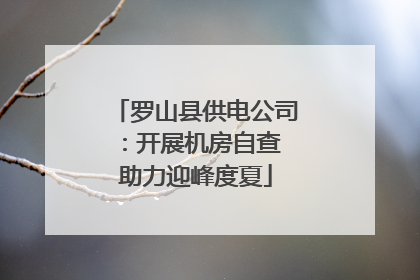 罗山县供电公司：开展机房自查 助力迎峰度夏