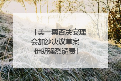 美一票否决安理会加沙决议草案 伊朗强烈谴责