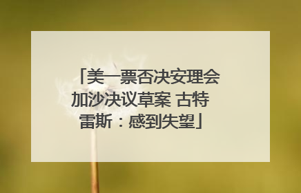 美一票否决安理会加沙决议草案 古特雷斯：感到失望