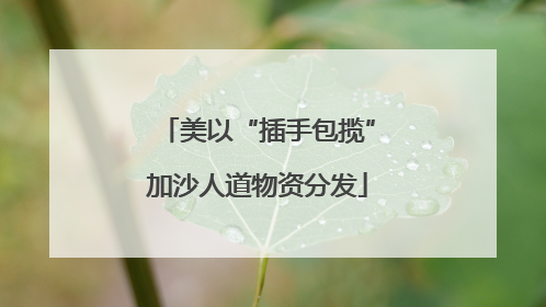 美以“插手包揽”加沙人道物资分发
