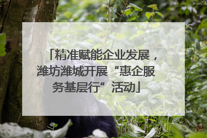 精准赋能企业发展，潍坊潍城开展“惠企服务基层行”活动