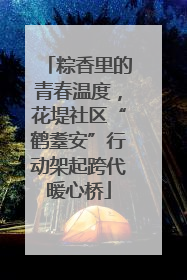 粽香里的青春温度，花堤社区“鹤耋安”行动架起跨代暖心桥