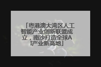 粤港澳大湾区人工智能产业创新联盟成立，南沙打造全球AI产业新高地