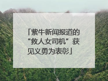 紫牛新闻报道的“救人女司机”获见义勇为表彰