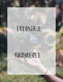 红色沃土 绿韵旺苍