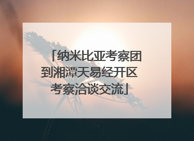 纳米比亚考察团到湘潭天易经开区考察洽谈交流