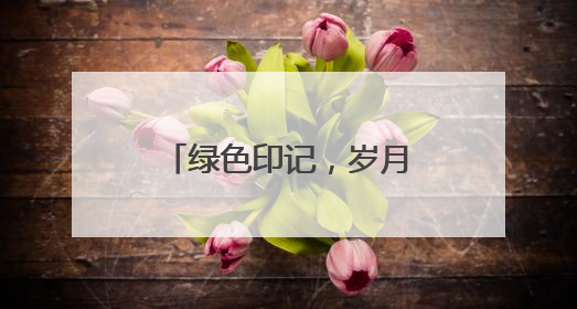 绿色印记，岁月沉香丨长沙县绿色食品“老字号”的时光答卷