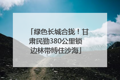 绿色长城合拢！甘肃民勤380公里锁边林带缚住沙海