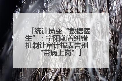 统计员变“数据医生”：宁阳前置纠错机制让审计报表告别“带病上岗”
