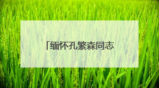 缅怀孔繁森同志 弘扬孔繁森精神——山东省第十批援藏干部人才清明节前到岗巴县开展党性教育