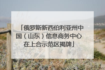 俄罗斯新西伯利亚州中国（山东）信息商务中心在上合示范区揭牌