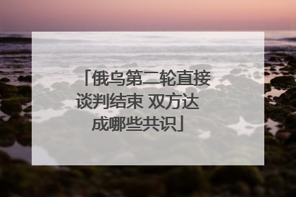 俄乌第二轮直接谈判结束 双方达成哪些共识