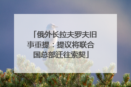 俄外长拉夫罗夫旧事重提：提议将联合国总部迁往索契
