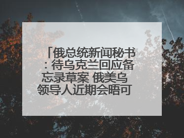 俄总统新闻秘书：待乌克兰回应备忘录草案 俄美乌领导人近期会晤可能性小