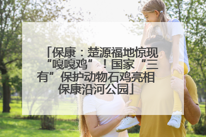 保康：楚源福地惊现“嘎嘎鸡”！国家“三有”保护动物石鸡亮相保康沿河公园