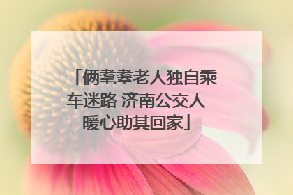 俩耄耋老人独自乘车迷路 济南公交人暖心助其回家