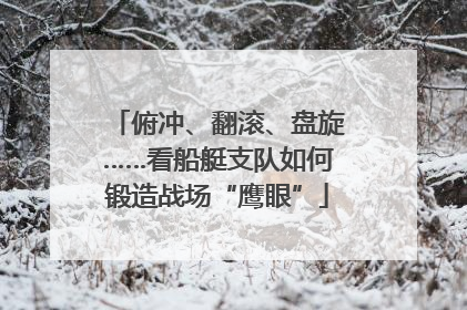 俯冲、翻滚、盘旋……看船艇支队如何锻造战场“鹰眼”