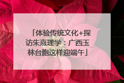 体验传统文化+探访朱熹理学：广西玉林台胞这样迎端午