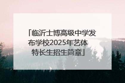 临沂士博高级中学发布学校2025年艺体特长生招生简章