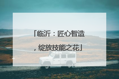 临沂：匠心智造，绽放技能之花
