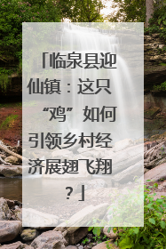 临泉县迎仙镇：这只“鸡”如何引领乡村经济展翅飞翔？