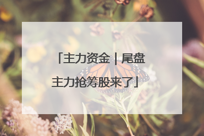 主力资金｜尾盘主力抢筹股来了