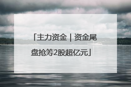 主力资金｜资金尾盘抢筹2股超亿元