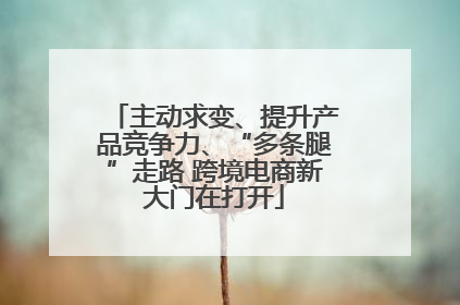 主动求变、提升产品竞争力、“多条腿”走路 跨境电商新大门在打开