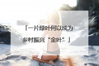 一片绿叶何以成为乡村振兴“金叶”