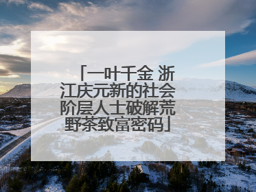 一叶千金 浙江庆元新的社会阶层人士破解荒野茶致富密码