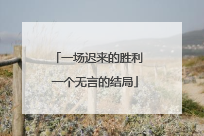 一场迟来的胜利 一个无言的结局
