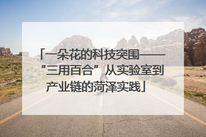 一朵花的科技突围——“三用百合”从实验室到产业链的菏泽实践