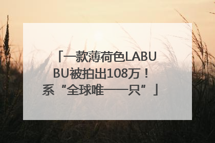一款薄荷色LABUBU被拍出108万！系“全球唯一一只”