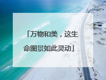 万物和美，这生命图景如此灵动