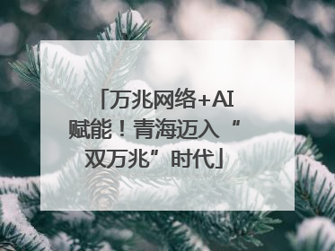 万兆网络+AI赋能！青海迈入“双万兆”时代