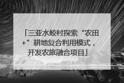 三亚水蛟村探索“农田+”耕地复合利用模式，开发农旅融合项目