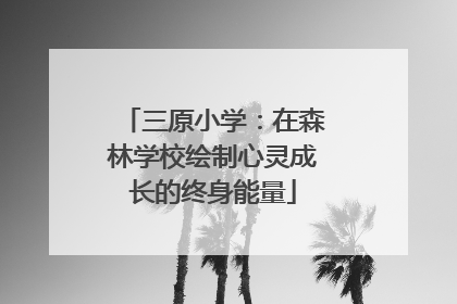 三原小学：在森林学校绘制心灵成长的终身能量