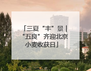 三夏“丰”景｜“五良”齐迎北京小麦收获日