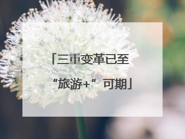 三重变革已至 “旅游+”可期