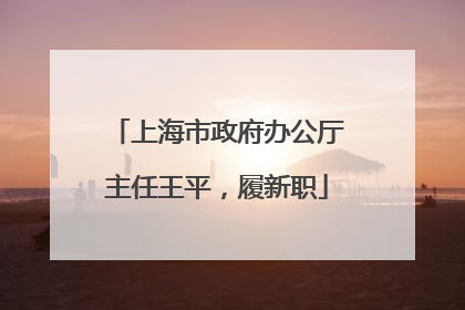 上海市政府办公厅主任王平，履新职