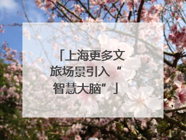 上海更多文旅场景引入“智慧大脑”