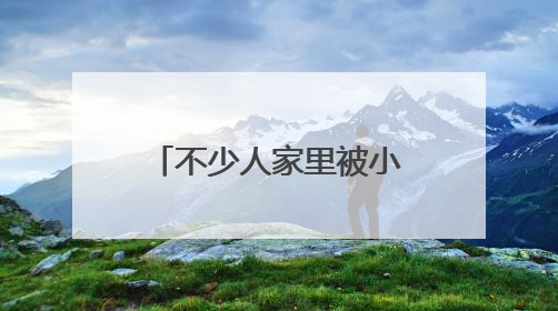 不少人家里被小黑虫“入侵”，墙壁窗户全部爬满！一到晚上更严重，还有一股臭味