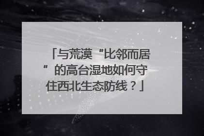 与荒漠“比邻而居”的高台湿地如何守住西北生态防线？