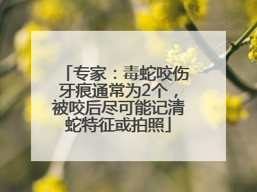 专家：毒蛇咬伤牙痕通常为2个，被咬后尽可能记清蛇特征或拍照