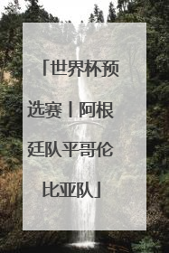 世界杯预选赛丨阿根廷队平哥伦比亚队