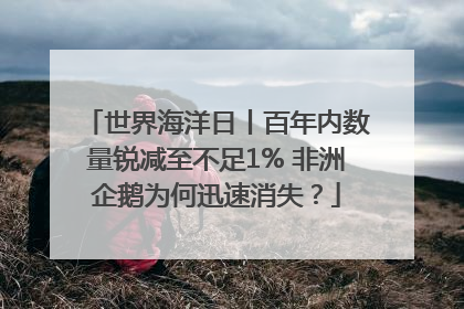 世界海洋日丨百年内数量锐减至不足1% 非洲企鹅为何迅速消失？