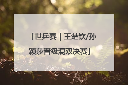 世乒赛｜王楚钦/孙颖莎晋级混双决赛